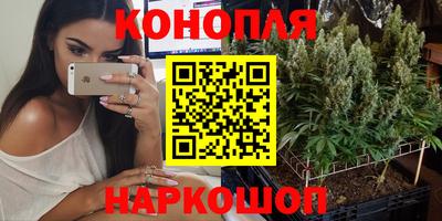 стаф Севастополь