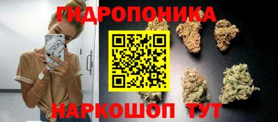 стаф Севастополь