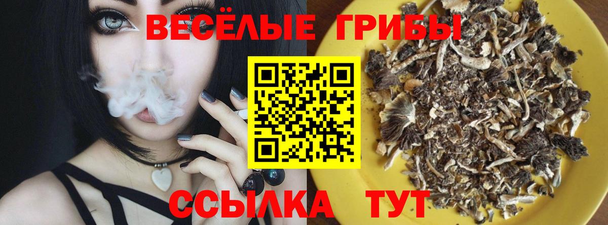 Санкт-Петербург  Галлюциногенные грибы мухоморы  Вход с VPN  Псилоцибиновые грибы Magic Shrooms 