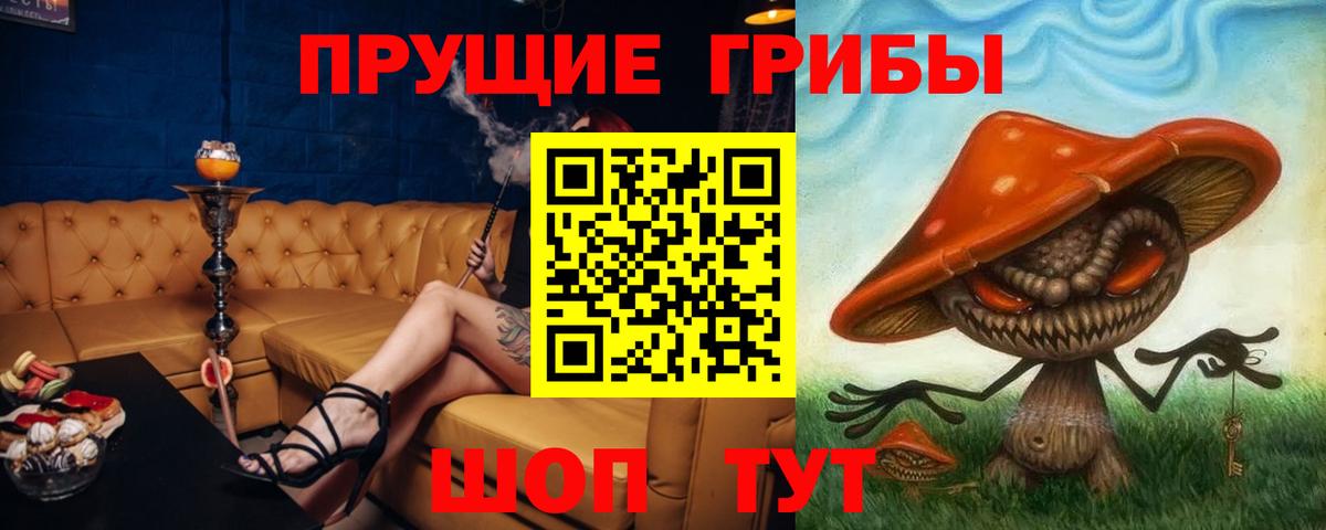 Галлюциногенные грибы мицелий Санкт-Петербург